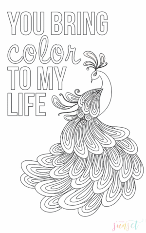 You Bring Color To My Life